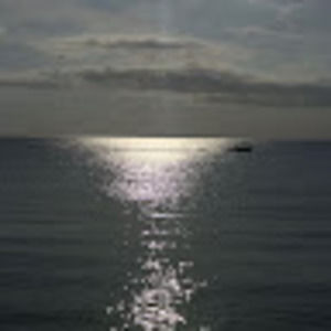 Meet your Posher, Bill